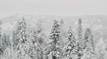Winteranfang