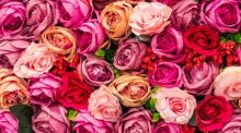 Valentinstag: Das Fest der Liebenden