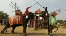Nationaler Elefantentag