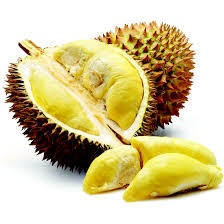 Durian  das essbare Geheimnis
