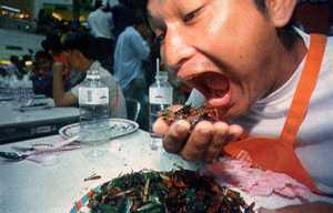 Vielen Thais schmecken proteinreiche Insekten