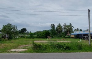 Bauland 1Km zum Beach/Ocean Pak Nam Pran/Hua Hin, 1.124m²=281TW mit Chanote vom Eigentümerer