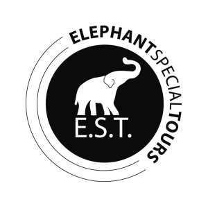 Elephant Special Tours sucht Mitarbeiter/in