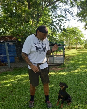 Hundetraining für alle Hunderassen