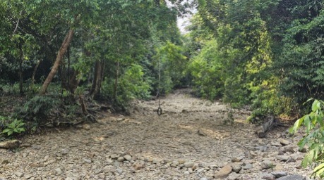 Auch Koh Chang in der Provinz Trat leidet unter der anhaltenden Dürre. Bereits Mitte April waren die meisten Flüsse und Wasserfälle der Insel ausgetrocknet. Foto: Jahner