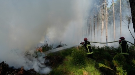 Feuerwehrleute bekämpfen einen Brand in der Nähe von Lacanau, während außerhalb von Bordeaux Waldbrände wüten. Foto: Baz Ratner/Ap/dpa