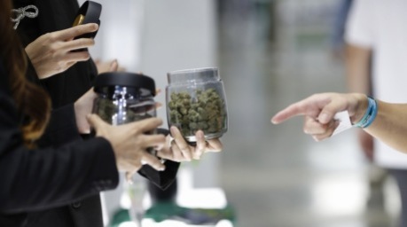 Das Gesundheitsministerium lässt den Entwurf des neuen Cannabis- und Hanfgesetzes öffentlich diskutieren. Foto: epa/Rungroj Yongrit