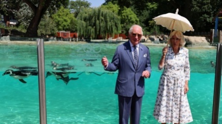 König Charles III. und Königin Camilla besuchen zum 200-jährigen Bestehen der Zoological Society of London das Pinguingehege im London Zoo. Foto: Andy Rain/epa
