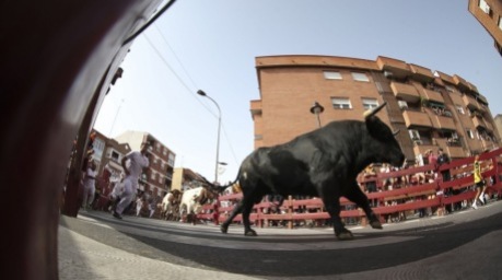 Teilnehmer rennen beim traditionellen Stierlauf „Pamplona Chica“ durch San Sebastián de los Reyes nahe Madrid. Foto: EPA/Sergio Perez