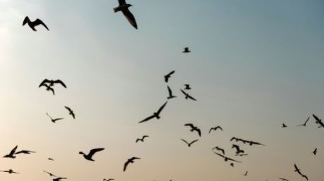 Foto: Ausgewählter Lifestyle Für Unsplash+