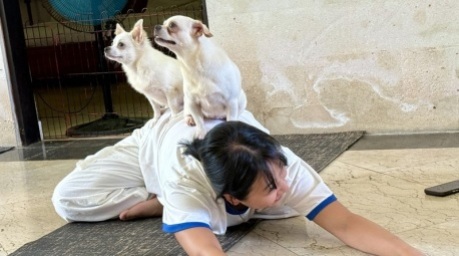 Ein Welpe tapst während einer Puppy-Yoga-Stunde in Canggu über Teilnehmer. Der Wellness-Trend stößt auch auf Kritik. Foto: dpa/Carola Frentzen
