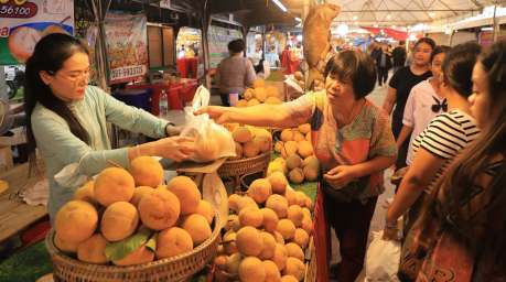 Besucher kaufen die für Lopburi typische süße Santol direkt bei regionalen Erzeugern auf dem Festivalgelände. Foto: Tourism Authority Of Thailand