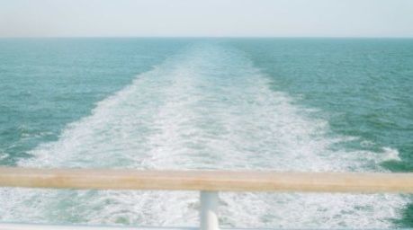 Foto: Annie Spratt Für Unsplash+