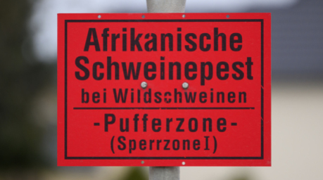 Ein Schild Afrikanische Schweinepest bei Wildschweinen - Pufferzone (Sperrzone 1) ist an einem Ortseingangsschild im Landkreis Bautzen montiert. Foto: Robert Michael/dpa