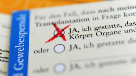 Die Rückseite eines ausgefüllten Organspendeausweises. Das Zustimmungsfeld ist angekreuzt. Foto: Marie Reichenbach/dpa