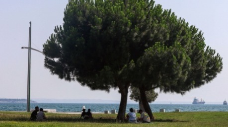 Menschen suchen während einer Hitzewelle in Thessaloniki Schutz im Schatten eines Baumes. Foto: EPA/Nikos Arabatzis