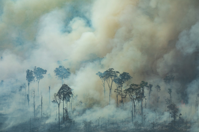 Auf diesem von Greenpeace Brasilien zur Verfügung gestellten Bild steigt Rauch bei einem Brand nahe der Stadt Caneiras do Jamari in Rondonia. Foto: Victor Moriyama/Greenpeace Brazil/dpa