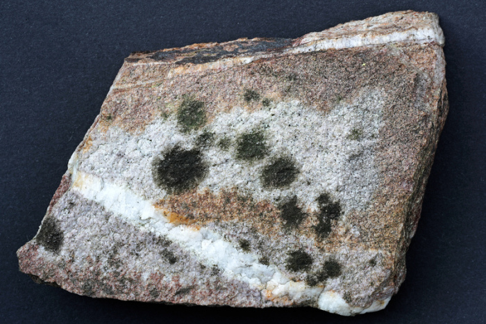 Auf einem Taunusquarzit-Stein wächst eine bisher unbekannte Flechte, die von der Koblenzer Biologin Dorothee Killmann und ihrem Mann Burkhard Leh im Nationalpark Hunsrück-Hochwald entdeckt wurde. Foto: Konrad Funk/Dpa
