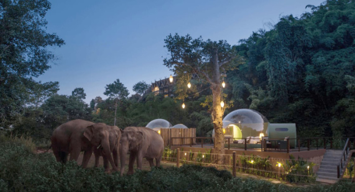 Eine Nacht in den „Jungle Bubbles“ ist ein unvergessliches Erlebnis, das jedoch nur Hotelgästen des Anantara Golden Triangle Elephant Camp & Resort in Chiang Rai vorbehalten ist. Foto: Anantara