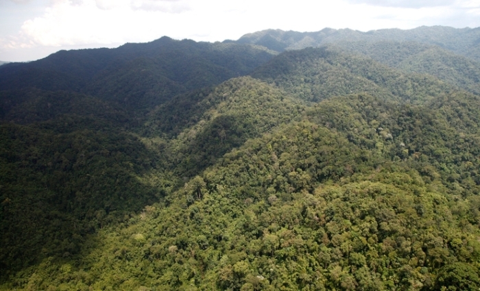 Auf einer Regierungssitzung wurde am Mittwoch vorgeschlagen, erneut den Versuch zu wagen, eine Bewerbung für die Nominierung des Regenwaldes Kaeng Krachan als Weltnaturerbe bei der UNESCO einzureichen. Foto: The Nation