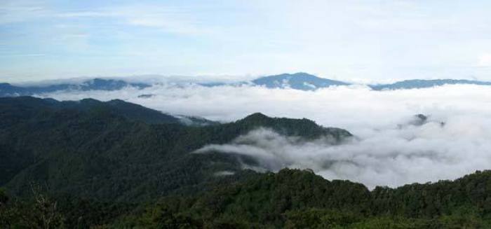 Das Waldgebiet Kaeng Krachan. Foto: DNP
