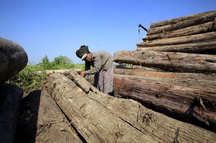 Myanmar hat eine der höchsten Entwaldungsraten der Welt. Foto: epa/Nyein Chan Naing