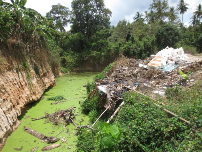 Unweit der Mülldeponie bei Hua Thanon: Dieses verseuchte Wasser trägt ein kleiner Bach in Richtung Wohngebiete – der Wassertümpel ist giftgrün