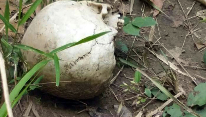Ein Schädel und andere menschlichen Überreste in einem Waldstück in Buriram stellen die Polizei der Isaan-Provinz vor ein Rätsel. Foto: The Nation