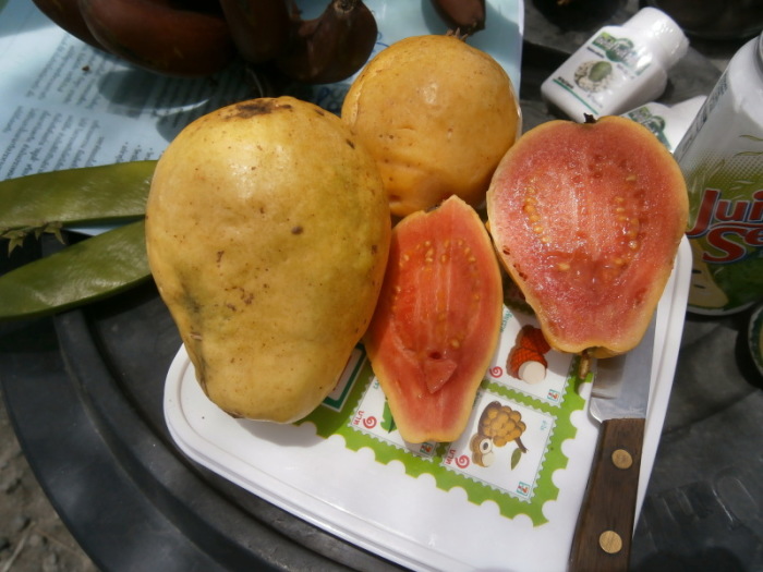 Der Renner sind unsere birnenförmigen Guaven, außen gelb und innen rot, sehr delikat dazu. Fotos: hf