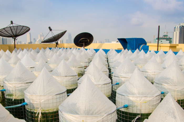 Ungenutzte Hochhausdächer in Bangkok eignen sich laut EnerGaia hervorragend zum Anbau frischer Algen. Foto: Energaia