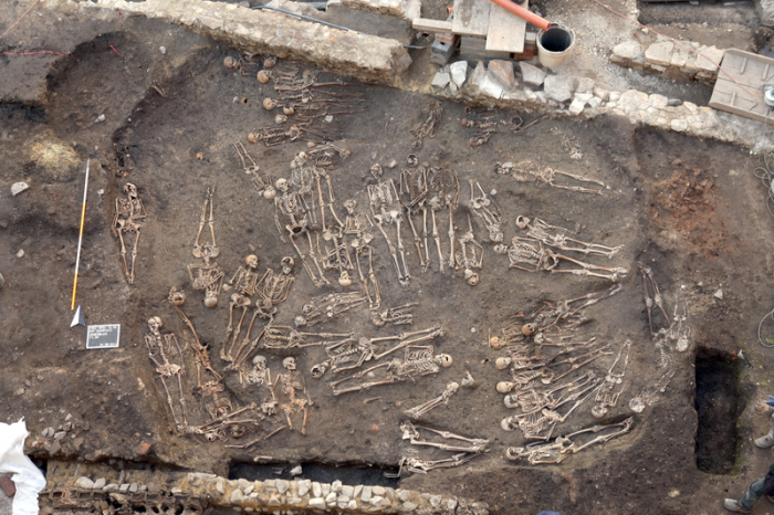 Skelettlage im großen Sammelgrab 1 auf dem Domplatz. Mehr als 22 000 Skelette haben Archäologen in fast zehn Jahren hier geborgen. Foto: -/Stadtmuseum St. Pölten/dpa