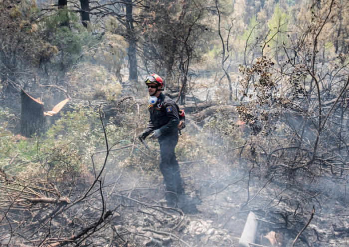 Ein Feuerwehrmann ist in der Nähe des Dorfes Makrimmali in Euböa im Einsatz. Foto: epa/Wassilis Aswestopoulos
