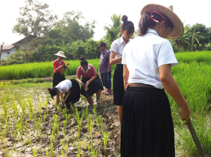 Schülerinnen üben sich bei der Feldbewirtschaftung in der  New Theory Farming School in Saphan Sung. Fotos: ANN
