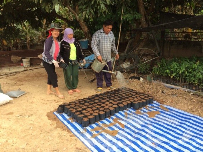 In Nong Khai haben wir viel Platz für eine Setzlingsstation für Kakao. Junge Kakaopflanzen sind sehr gesucht. Fotos: hf
