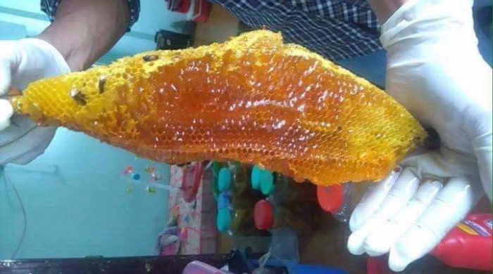 So eine frische Honigwabe wird auf dem Markt verkauft. Man kann gleich vor Ort hineinbeißen. Fotos: Kuno Paulus