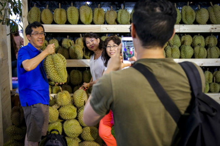 Wenn Chinesen in diesem Jahr nicht zur Durian-Ernte nach Thailand reisen, dann kommt die Durian eben einfach zu ihnen in die Volksrepublik. Und zwar in Form von thailändischen Fruchtfestivals in Einkaufszentren. Foto: epa/Diego Azubel