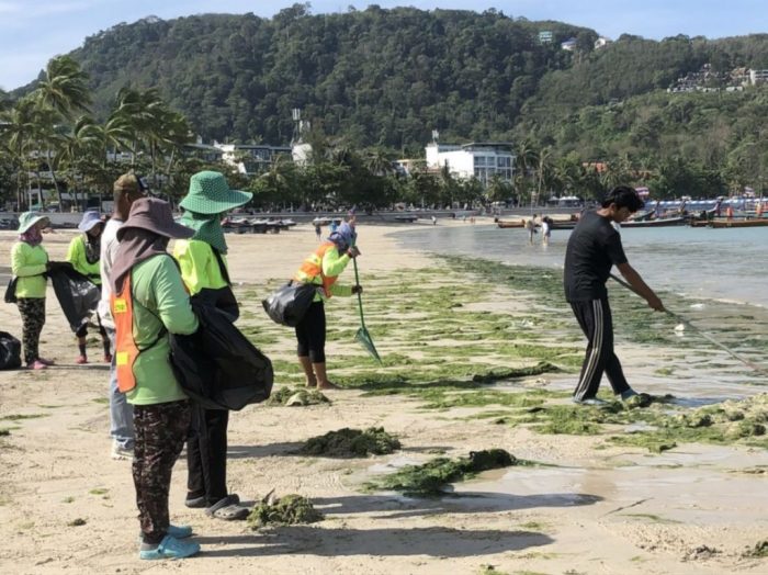 Bereits vor zwei Wochen wurden Algen in großen Mengen am Patong Beach angespült. Foto: The Thaiger