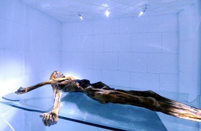 Der mumifizierte Körper von Ötzi in einer Kühlkammer. Foto: epa/Robert Parigger