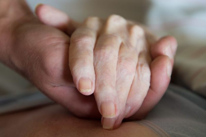 Ein Altenpfleger hält in einem Pflegeheim die Hand einer Frau. Das Bundesverfassungsgericht verkündet sein Urteil zum Verbot der geschäftsmäßigen Sterbehilfe in Deutschland. Foto: Sebastian Kahnert/Zb/dpa