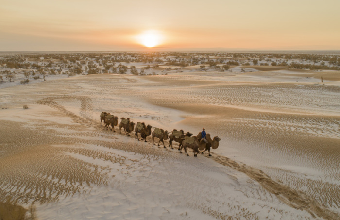 Ein Kameltreiber reitet bei Sonnenuntergang mit seinen Tieren durch eine schneebedeckte Wüstenlandschaft in der Inneren Mongolei. Kamele sind an ein Leben in der Wüste perfek... Foto: Tpg/Tpg Via Zuma Press/dpa |||foto: Tpg/tpg Via Zuma Press/dpa