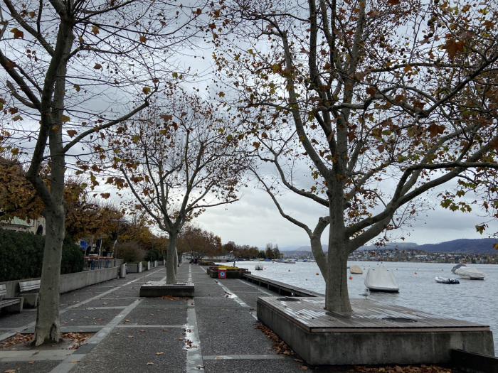 Die Blätter an den Bäumen beim Zürichsee sind alle längst gefallen, jetzt macht sich Trübsal breit. Fotos: hf