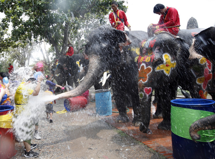 In Ayutthaya ist das Wasserfest ein elefantöses Vergnügen. Foto: epa/Rungroj Yongrit