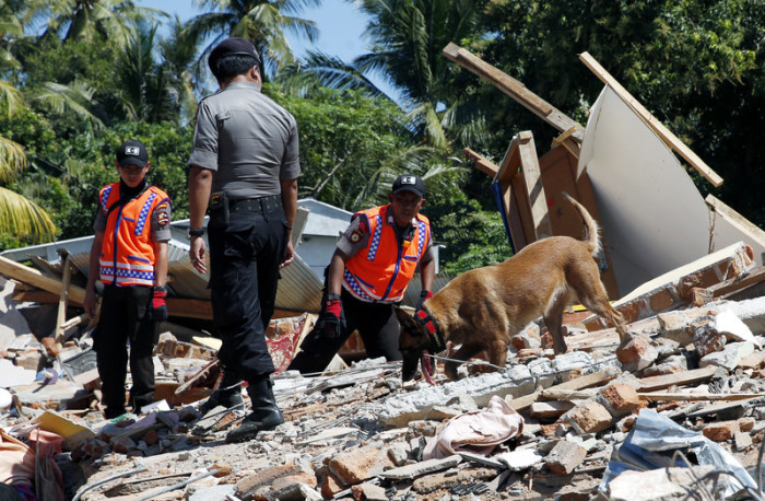 Mit Spürhunden suchen die Rettungskräfte in den Trümmern nach Überlebenden. Foto: epa/Adi Weda