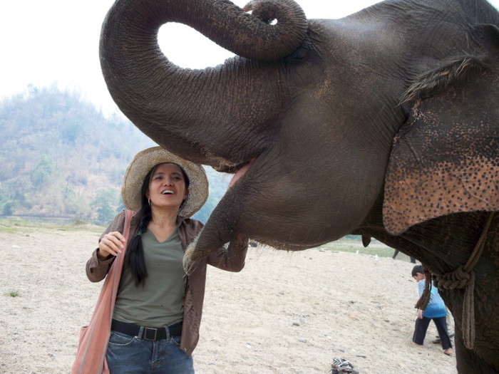 Khun „Lek“ gilt als Vorreiterin im Elefantenschutz in Thailand und ist als „Elefantenflüsterin“ bekannt. Foto: epa/Str
