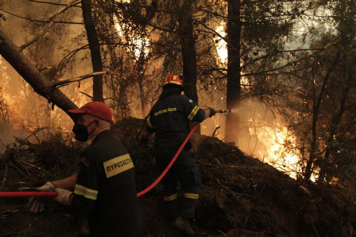 Feuerwehrleute bekämpfen die Flammen während eines Waldbrandes im Dorf Istiaia auf der Insel Evia. Foto: epa/Kostas Tsironis