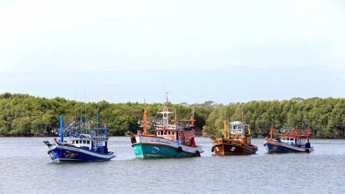 Zwei Zonen im Golf von Thailand werden vorübergehend geschlossen, um Wirtschaftsfische in diesen Gebieten vor der Fischerei zu schützen. Foto: The Nation
