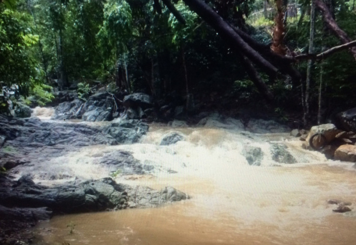 Der Bach hinter der ‚Tarzan Bar‘ in Maenams Soi 5 wurde durch die Regenfälle zum reißenden Fluss. Von dort führt die Straße hinauf zu ‚Canopy Adventure Tours‘ mit ihren Drahtseil-Abenteuerfahrten.