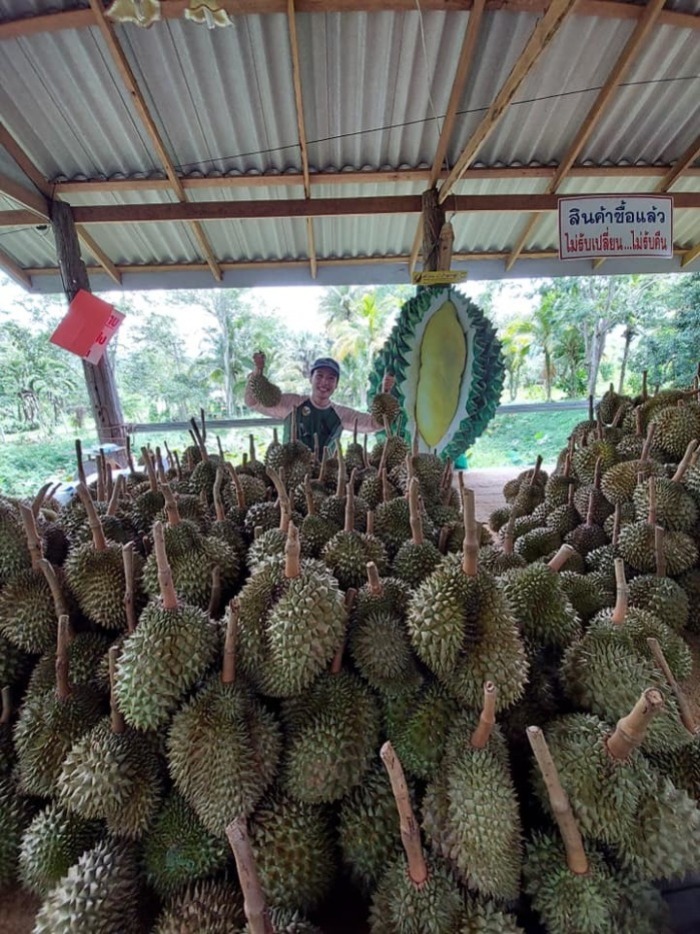 Großer Durian-Markt im OTOP-Zentrum