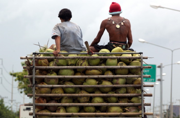 Kokosnussbauern transportieren ihre Ernte. Foto: epa/Barbara Walton