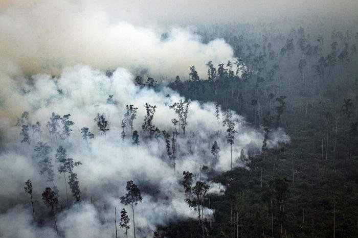Waldbrand in Kapuas Hilir, Insel Borneo. Foto: epa/VollstÄndige Handoko